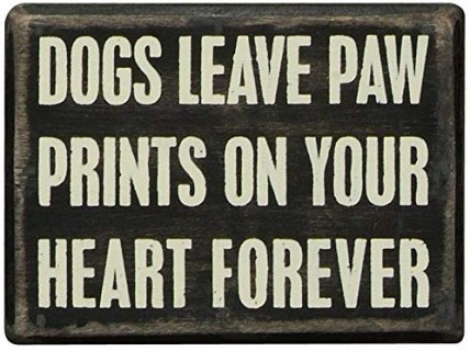 Primitive Wood Box Sign 19129 Dogs Leave Paw Prints Primitive Wood Box Sign 19129 Dogs Leave Paw Prints