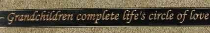 2406BLK Grandchildren Complete Life's Circle of Love