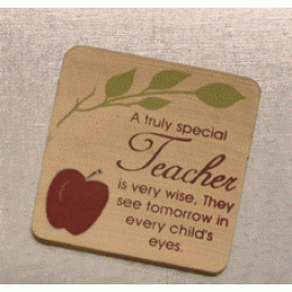  31877A - A Truly Special Teacher Magnet