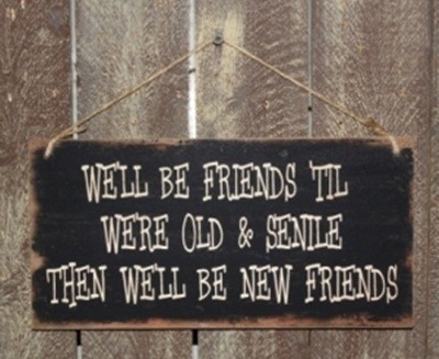 Primitive Wood Sign 3534SFBN - Senile Friends Primitive Wood Sign 3534SFBN - Senile Friends