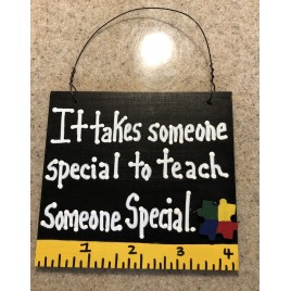  Teacher Gift 5318SS - It takes someone speical to teach someone special Autism 