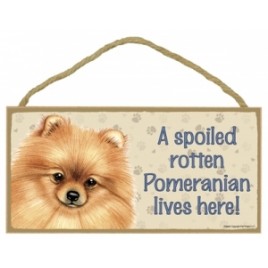 Wood Pet Sign - 61954 A spoiled rotten - Pomeranian Lives Here Wood Pet Sign - 61954 A spoiled rotten - Pomeranian Lives Here