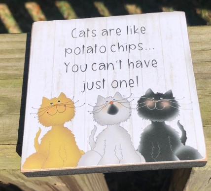 G34808 Cat attitude Block G34808 Cat attitude Block